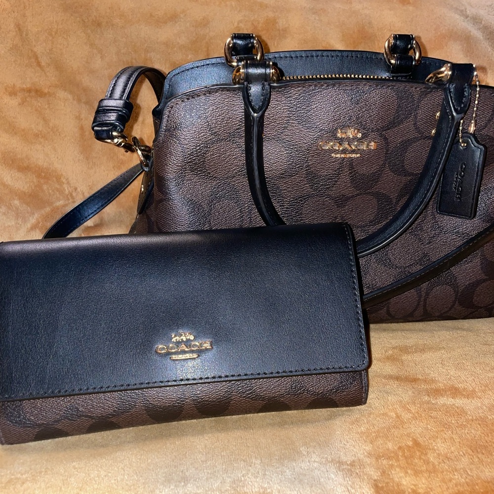 Mini Lillie Carryall In Signature Canvas with matching wallet